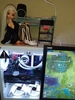 Изображение товара 5