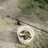 Изображение товара 1