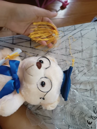 Graduation Bear Plush Toy photo review