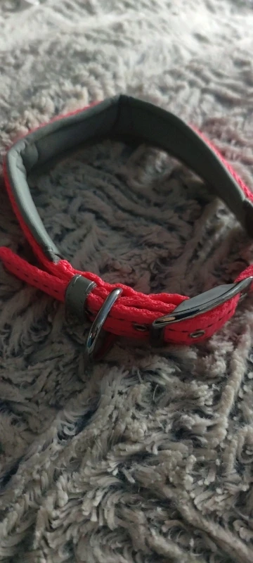 Glow Guard, Reflective Nylon Collar for Safe and Comfortable Walks photo review