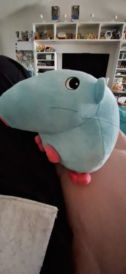 Stupid Rat Plushie photo review