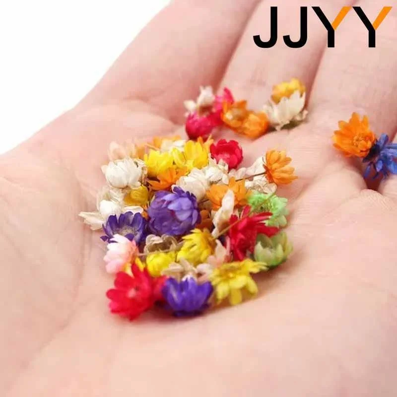 JJYY 1 confezione/100 pezzi Mini fiori secchi multicolori fai da te artigianato artistico candela in resina epossidica che fa gioielli casa festa decorativa