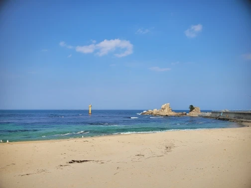 HILDA 2-in-1 Handheld Hedge Trimmer Electric Grass Trimmer Lightweight Shrub Trimmer Green Garden Bush Trimmer Cordless photo review