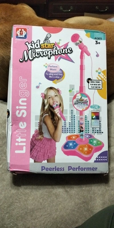 Kids Karaoke Microphone with Stand - Musical Brain-Training Toy Gift photo review