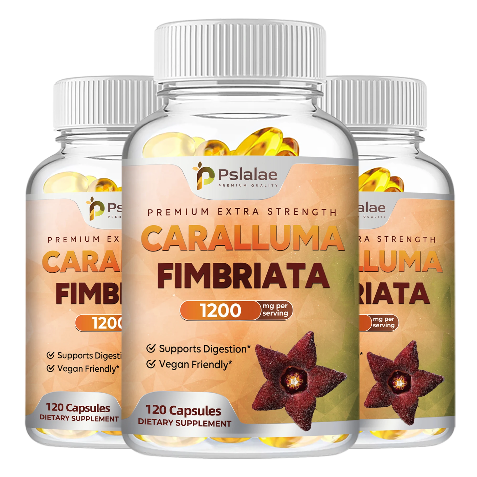 Caralluma Fimbriata 120 Capsules Energy & Endurance Support Natural Supplement