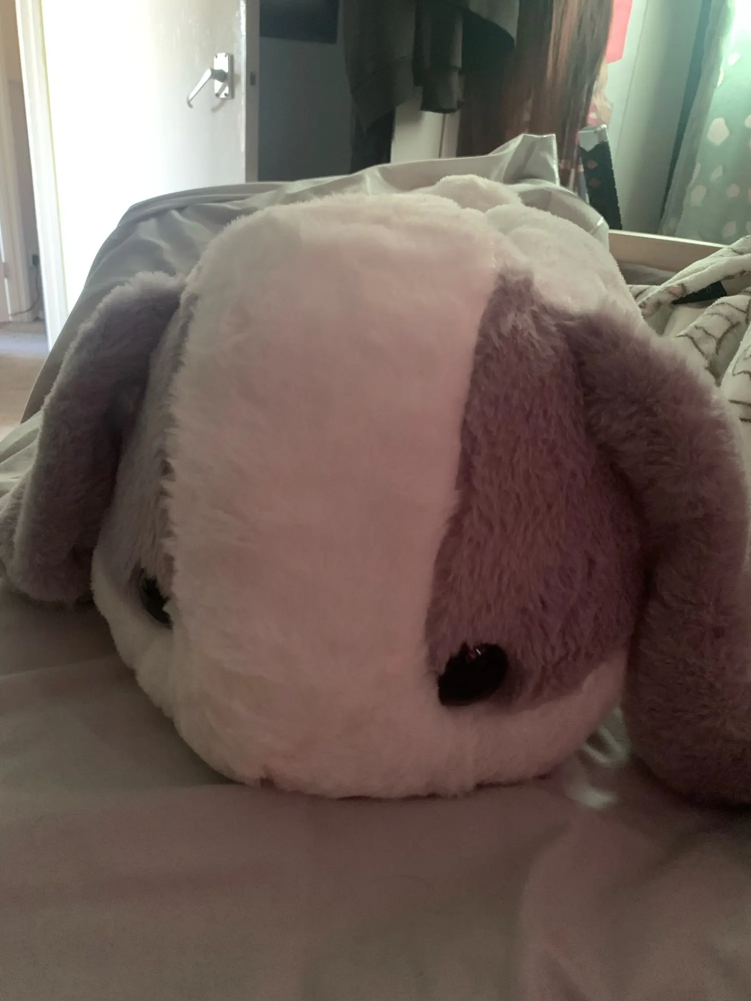 Big Floppy Rabbit Plushie photo review