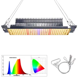 300W Full Spectrum LED Grow Light - US