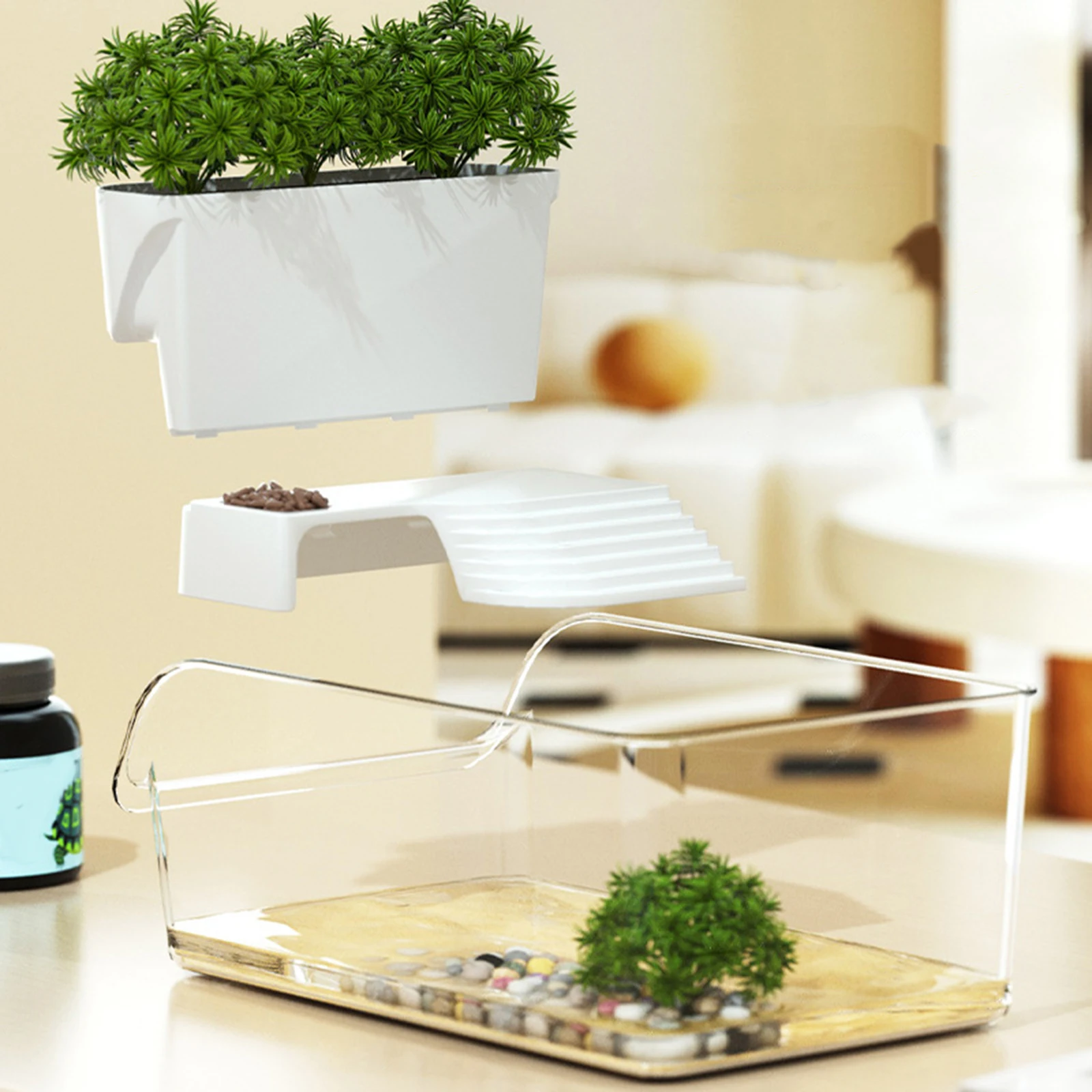 Reptile Breeding Habitat Tank 3