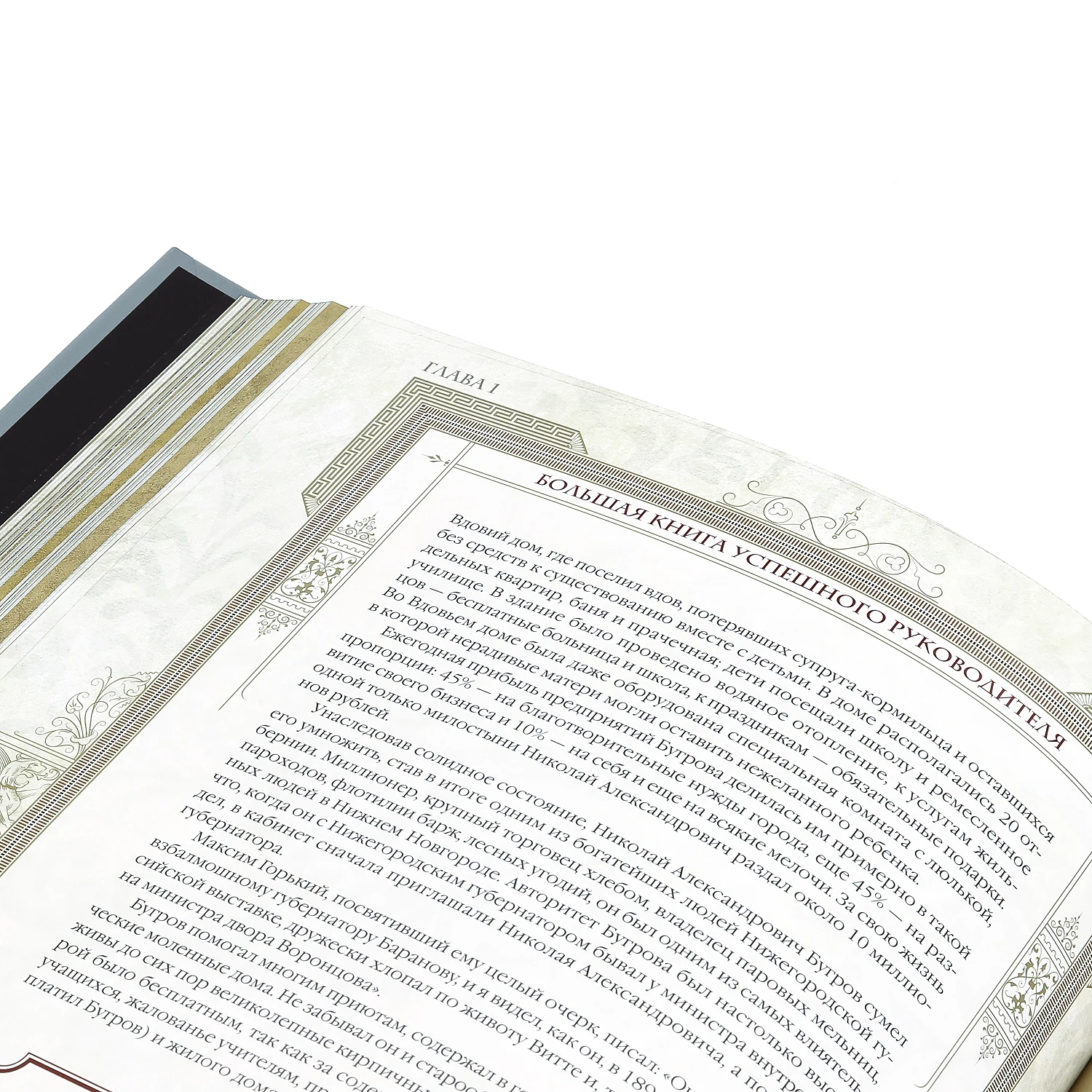 Рисунок 6 - Подарочная книга "Большая