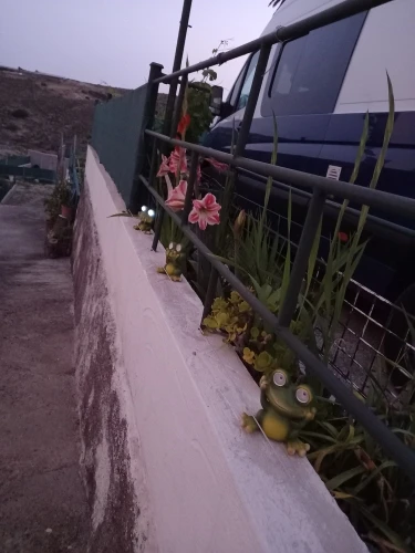 Sunlit Serenade: Resin Solar Lamp Frog Statue for Garden Delight photo review