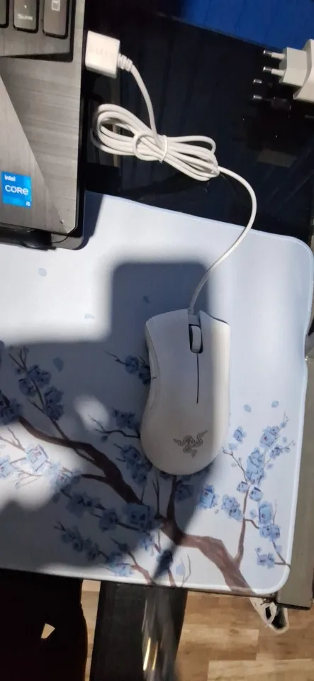 Razer DeathAdder Essential Wired Gaming Mouse 6400DPI photo review