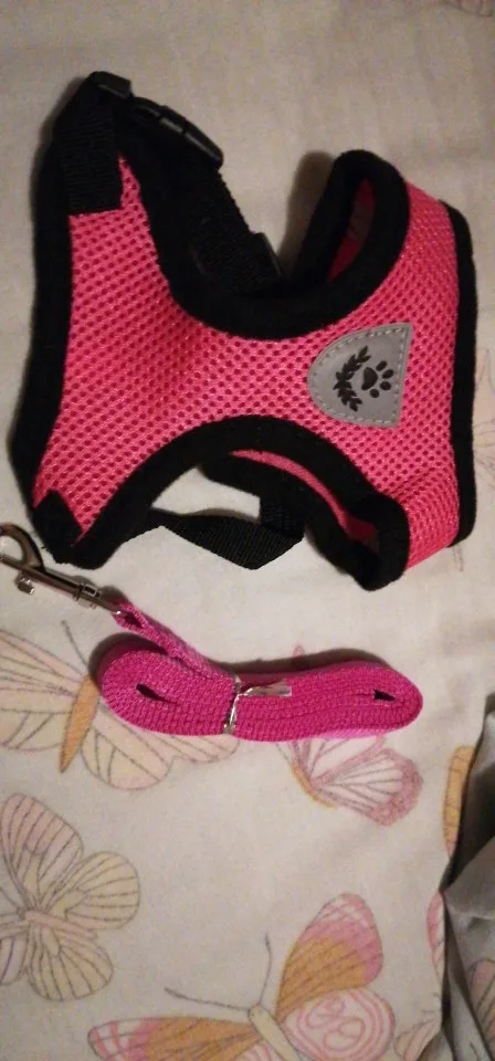 Summer Cat Dog Harness Lead Leash Adjustable Vest Polyester Mesh photo review