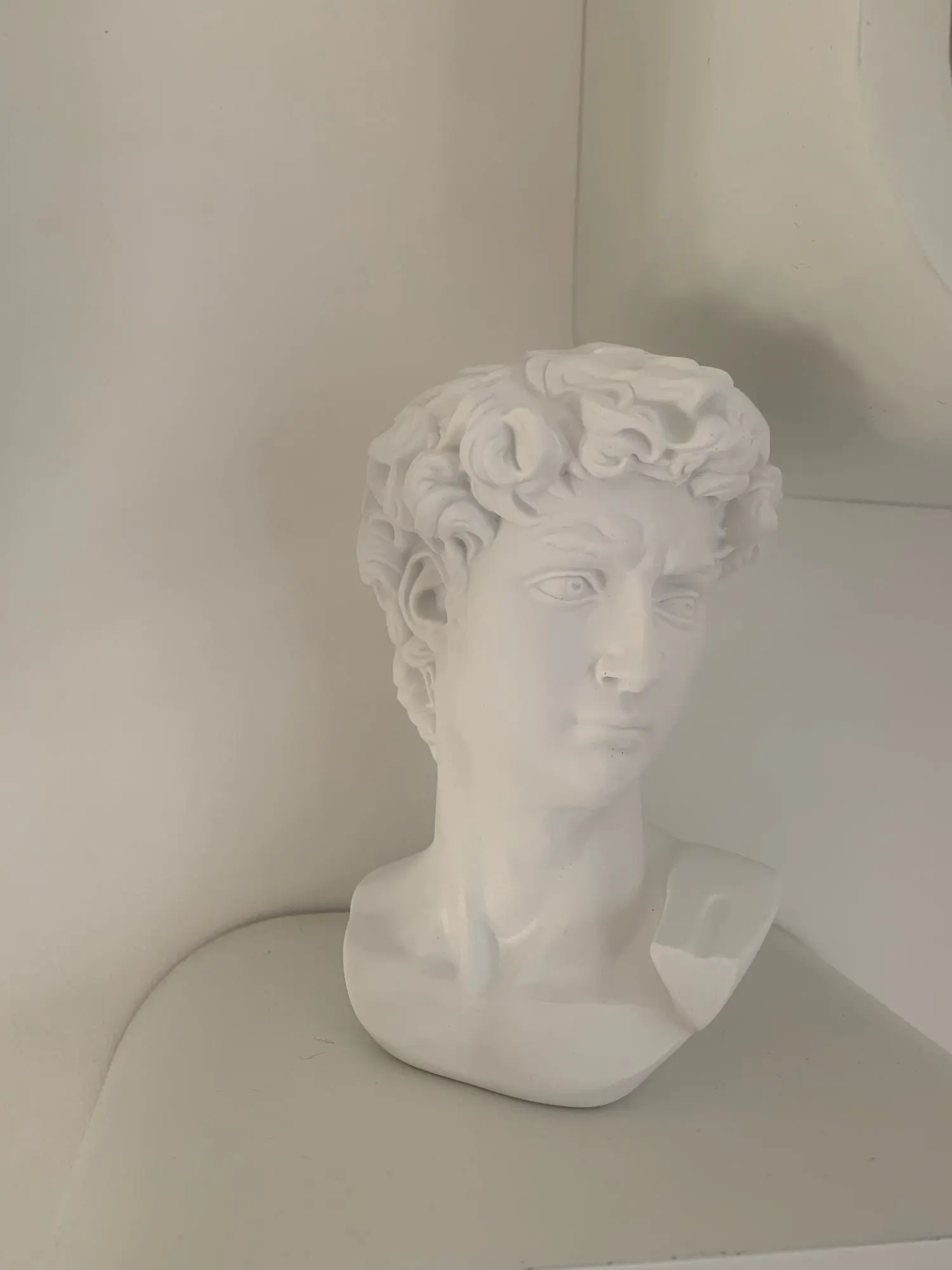 Timeless Masterpiece,15cm Miniature David Statue Head - Elegant Home Décor Sculpture photo review