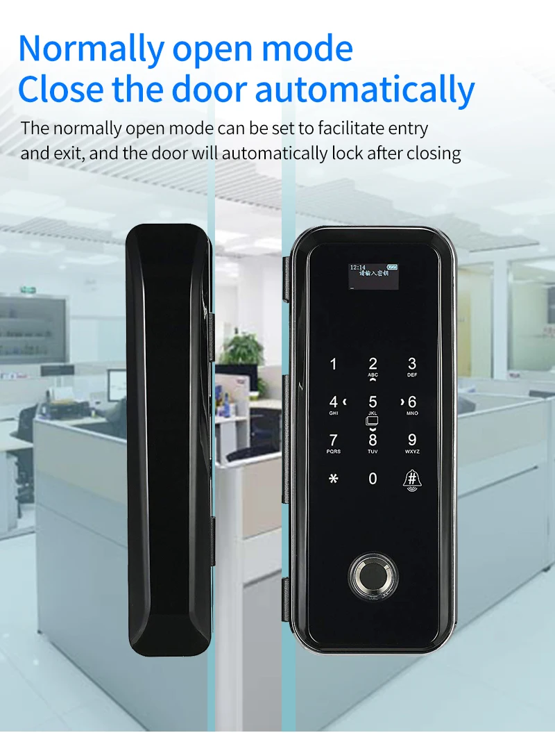 Tuya App Smart WIFI Lock Office Intelligent Fingerprint Digital Glass Door Lock