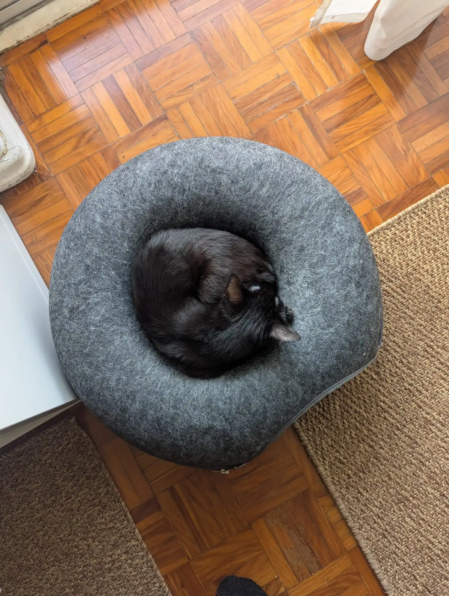 Felt Donut Bed for Cats House With Breather Hole Dog Bed Interactive Play Toys for Cats to Hide 2 in 1 Tunnel for Cats Bed photo review