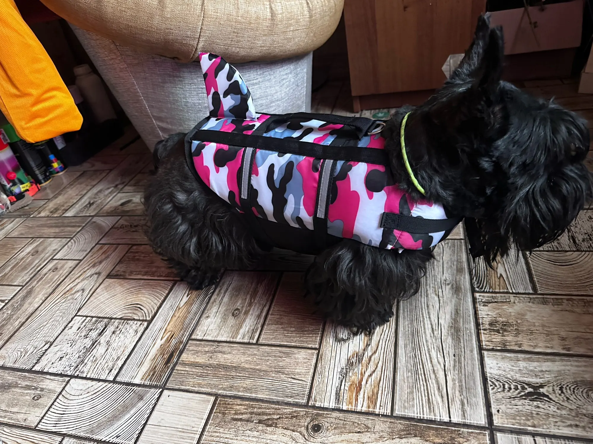 Chaleco Salvavidas Tiburón Con Estillo Para Perro