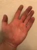 Изображение товара 3