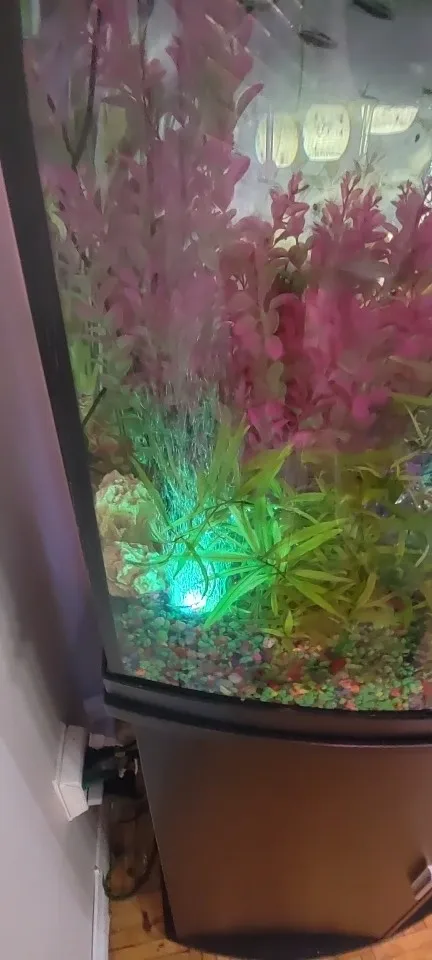 Color-Changing Submersible Fish Tank Light: Enhance Your Aquarium photo review