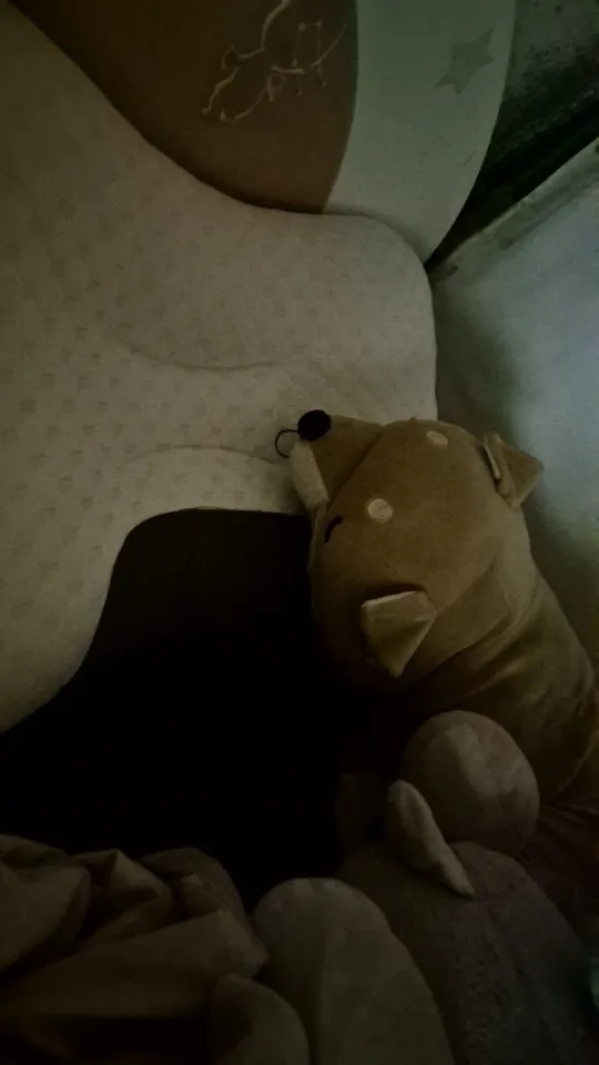 New Neck Pillow Help Sleep And Protect The Neck Cervical Orthopedic Soybean Fiber Massage photo review