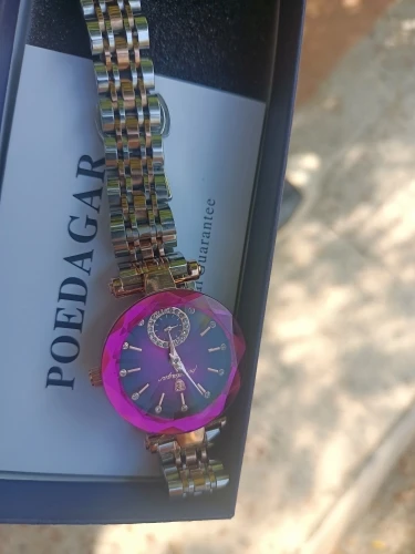 POEDAGAR Luxury Woman Wristwatch Elegant Waterproof Stainless Steel photo review