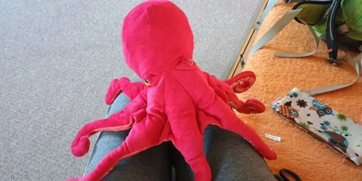 Polvo Gigante Fofeza® de Pelúcia