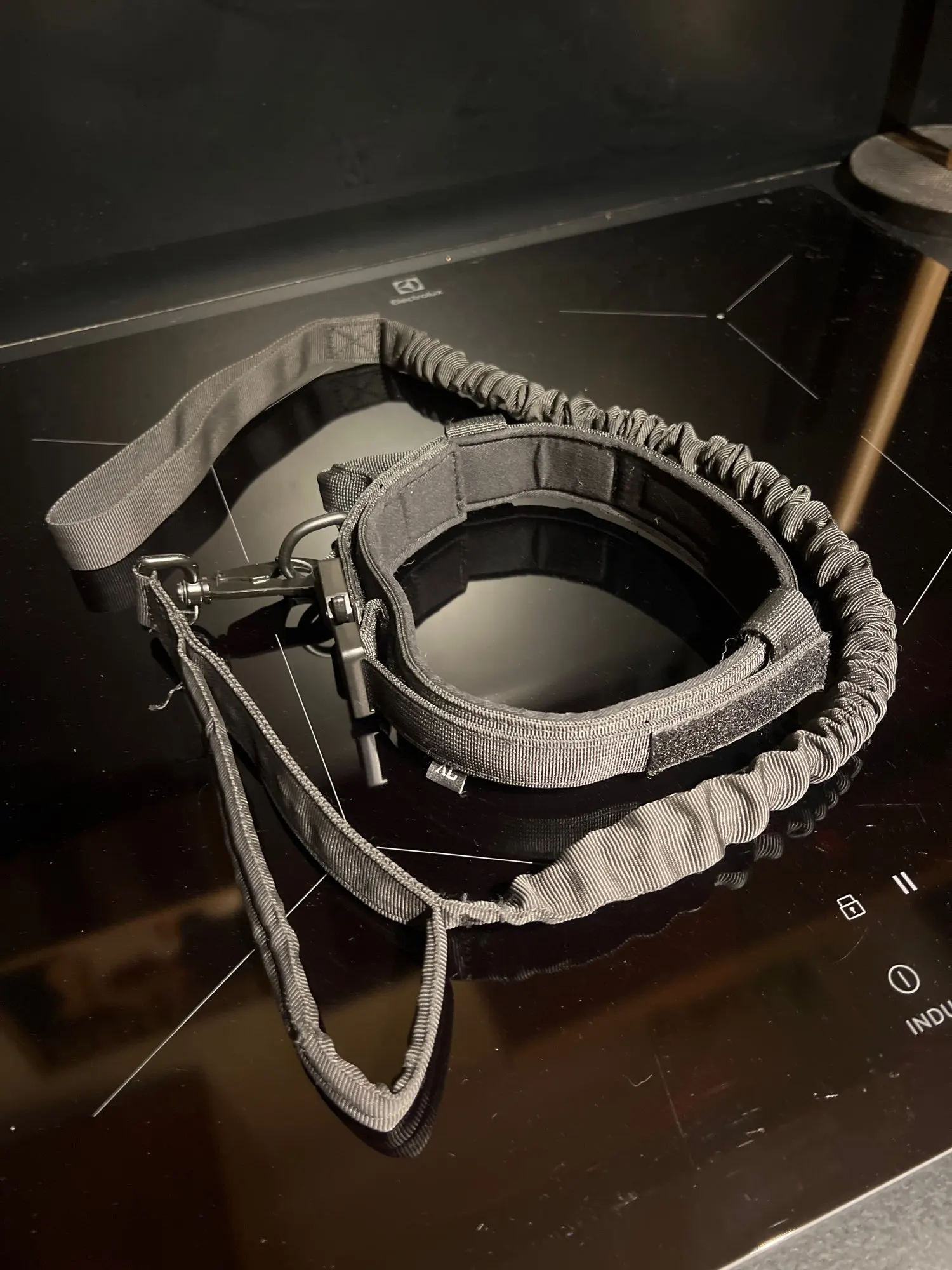 Rugged Tactical Gear: Military-Grade Collar & Bungee Leash for Large Dogs photo review