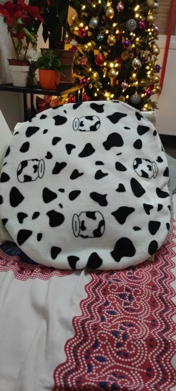 Cozy Winter Mats, Soft Beds for Cats & Dogs on the Go photo review