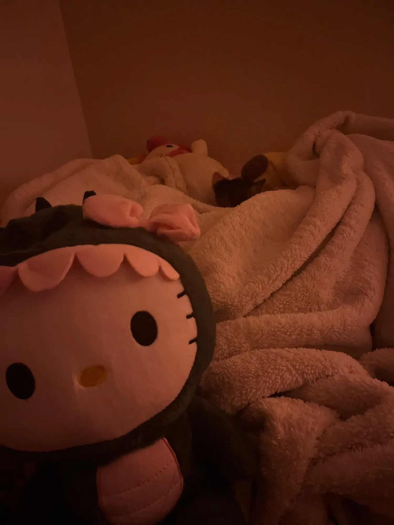 Peluche Hello Kitty Dinosaure photo review