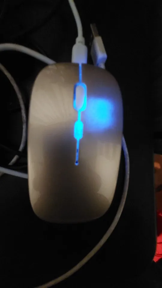 Wireless Bluetooth 2.4GHz RGB Mouse Rechargeable Silent photo review