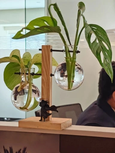 Hydroponic Plant Terrarium Vase photo review