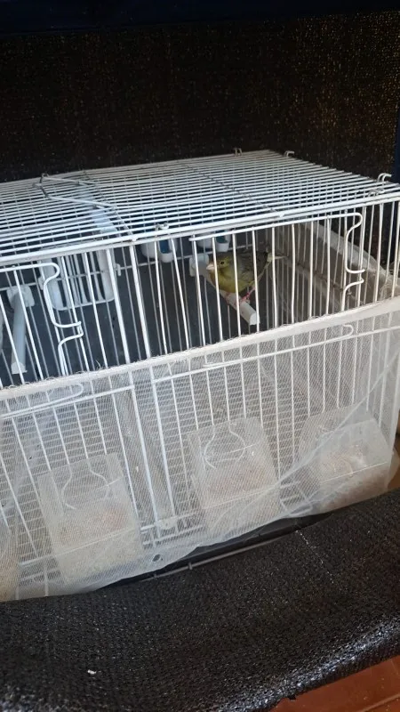 Cubierta de malla Para jaula de pájaros, falda de concha, red de fácil limpieza, protector, jaula para pájaros, malla elástica, jaula Para pájaros Para loros, Jaula Para Pajaros photo review