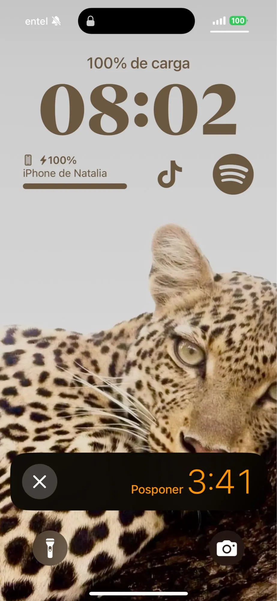 Taie d'oreiller en soie 19 Momme - Taupe