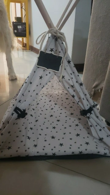 Cosy Cats, Fashionable Cat Tent Nest with Warm Cushioned Bed for Indoor Lounging photo review