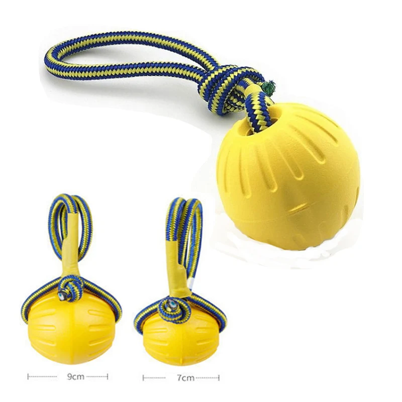 Dog Chew Toys Interactive Flirt Pole for Dogs