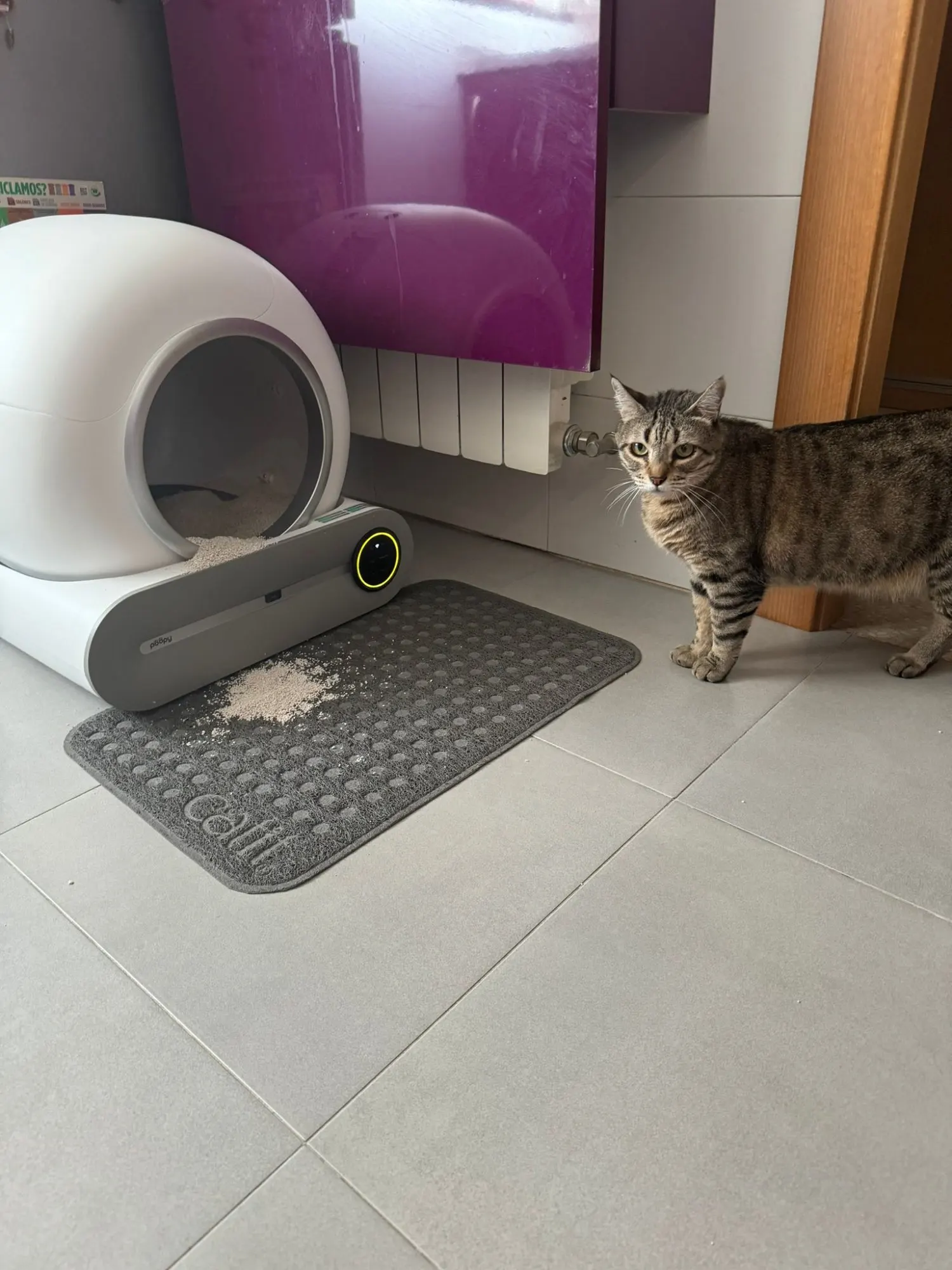 Tonepie 65L Smart Automatic Cat Litter Box with Ionic Deodorizer photo review