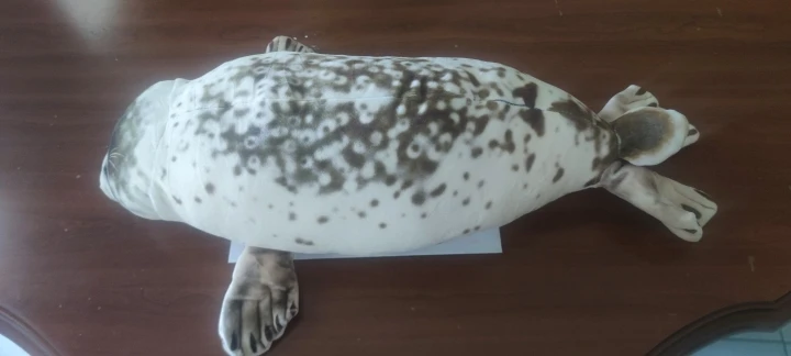 Foquinha Serena Fofeza® de Pelúcia