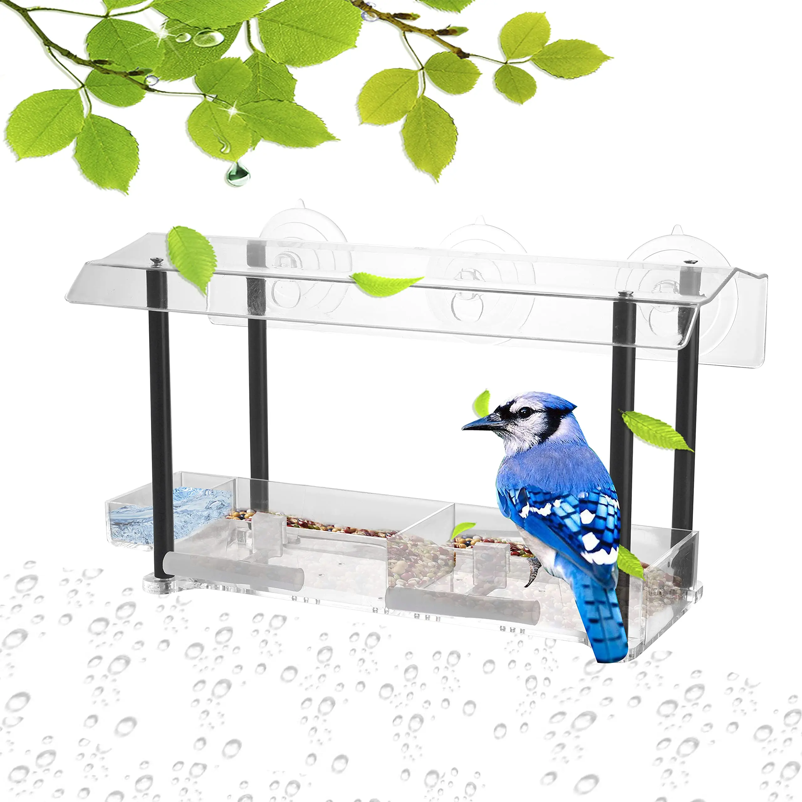 Mangeoire à oiseaux transparente en acrylique, ventouse, nichoir monté, outil  d'alimentation, accessoires - AliExpress