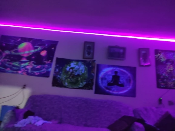 2835 SMD UV DC 12V 5M LED Light Strip Ultraviolet Strip Light photo review