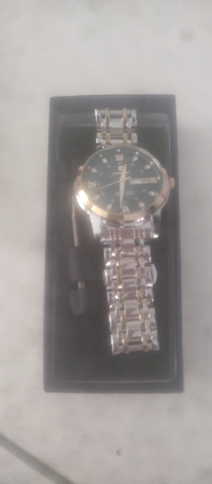 POEDAGAR Luxury Watch for Men photo review