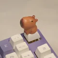 Capybara