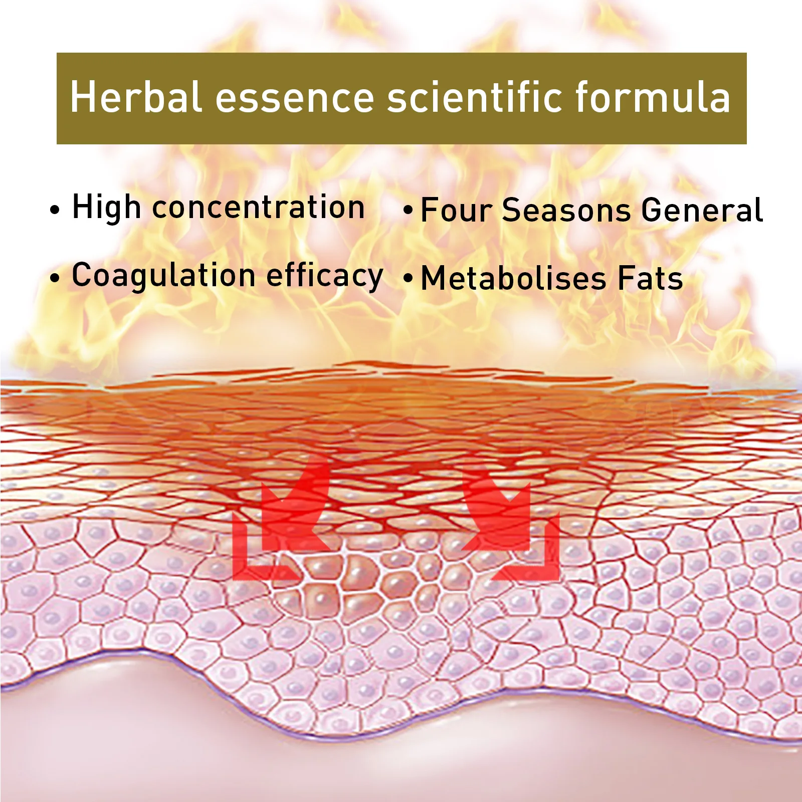 7 dagars viktminskning eterisk olja anticelluliter främjar fettförbrännare lår midja mage fettreducering slim-im down kropps bantningsolja_voghion.com