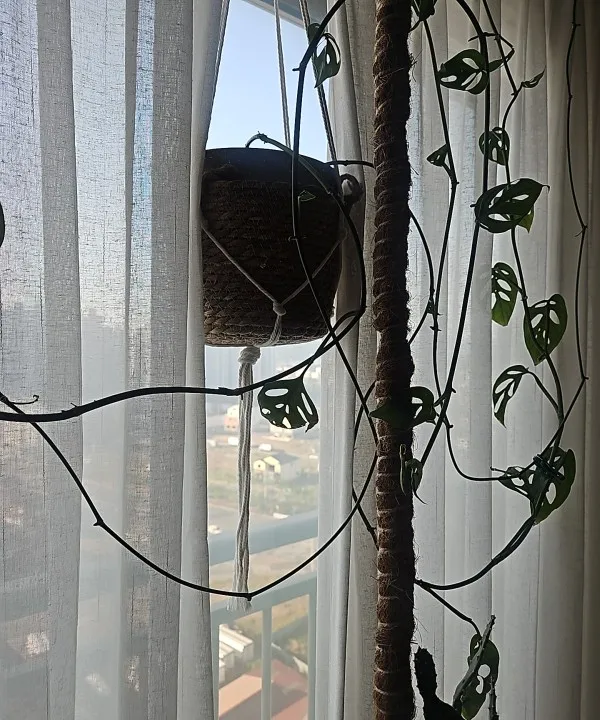 Garden Hanging Planter Macrame Plant Storage Basket Jute Rope Woven Indoor Outdoor Flower Pot Holder Plant Hangers Home Decor photo review