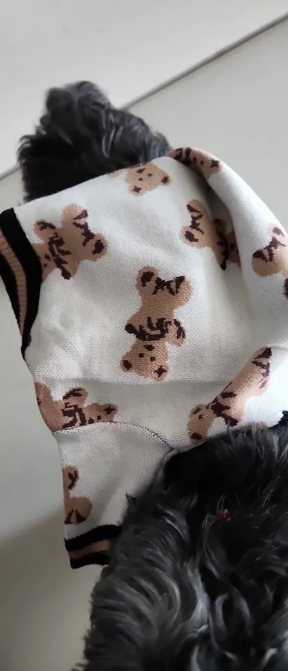 Posh Pup Perfection, Luxury Striped Cardigan for Your Stylish Chihuahua and Bichon Frise photo review