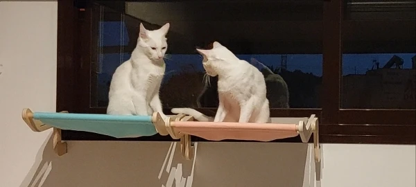 Attachment image review on Androf Cat Bed