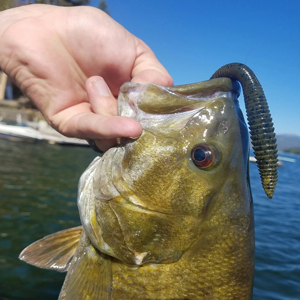 Flippin Hooks Harmony Fishing Company (10 Pack) Tungsten Nail