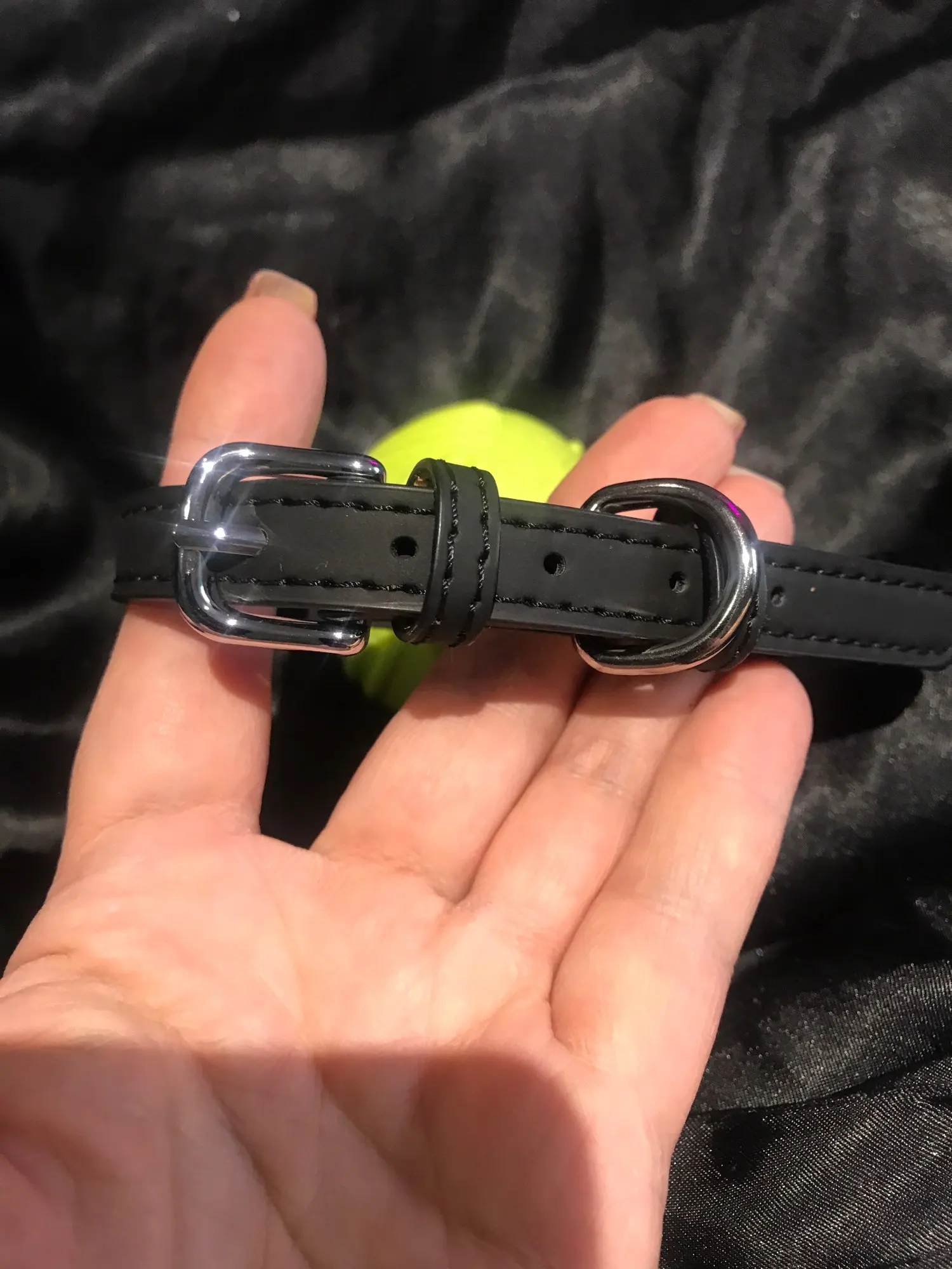 5 Colors PU Small Dogs Collars XS-M Adjustable Zinc Alloy Solid Color Puppy Collar Comfortable Durable Pets Supplies Accessories