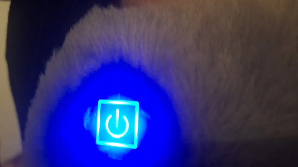 ThermaCare 3-in-1 Heizkissen – Wärme für Bauch, Taille und Hände photo review