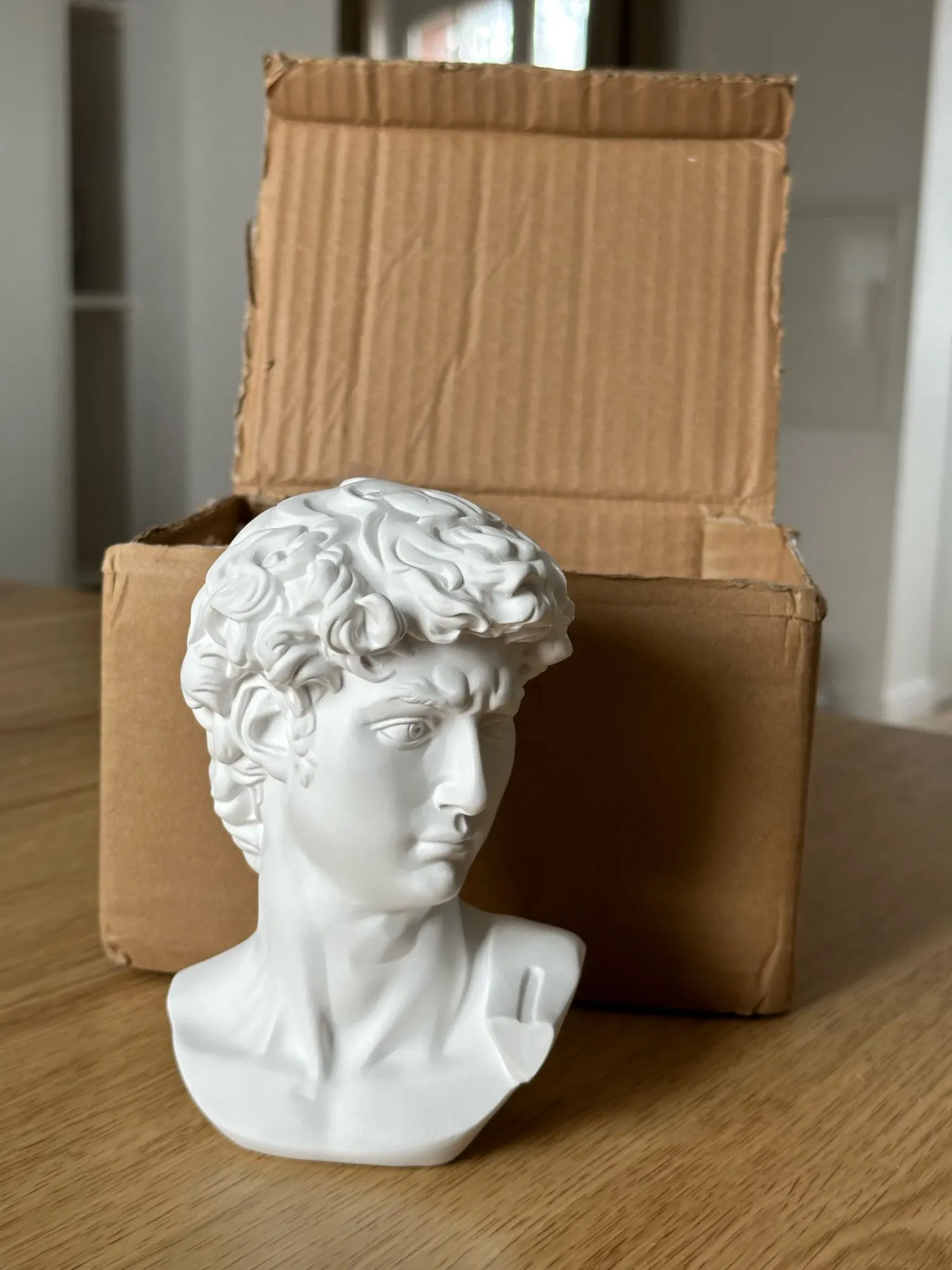 Timeless Masterpiece,15cm Miniature David Statue Head - Elegant Home Décor Sculpture photo review