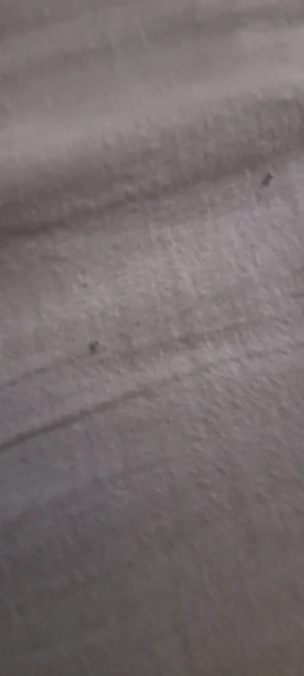 POEDAGAR Luxury Watch for Men photo review