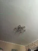 Изображение товара 5